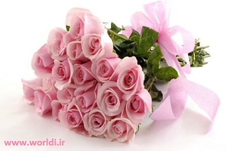 Pink_flowers4