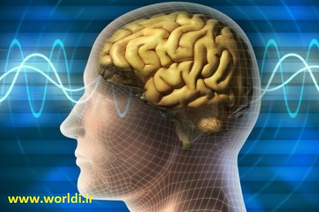 maghze insan pas az marg