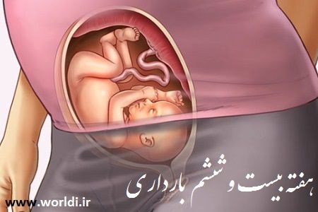 هفته 26 حاملگی