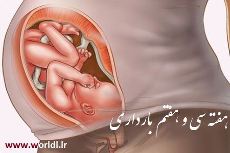 هفته 37 ام حاملگی