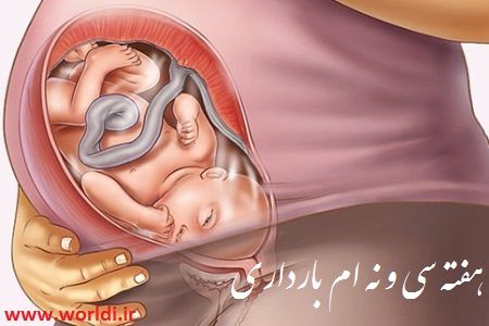 بارداری هفته 29 ام