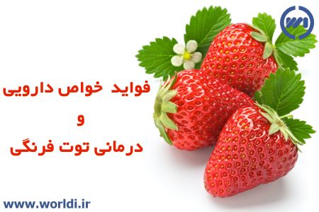 خواص توت فرنگی