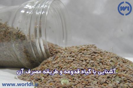 قدومه چیست؟