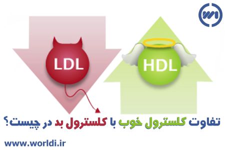 مقایسه چربی خوب با چربی بد