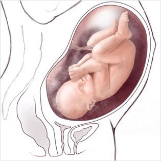 هفته 37 ام بارداری