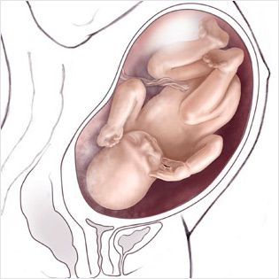 هفته 29 ام حاملگی