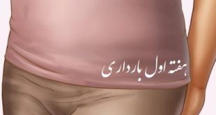 هفته اول حاملگی