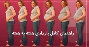 بارداری هفته به هفته