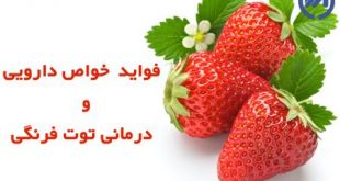 خواص توت فرنگی