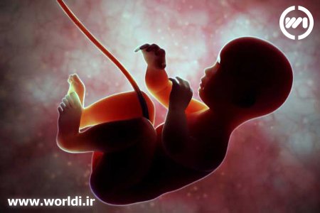 نحوه تنفس جنین در شکم مادر