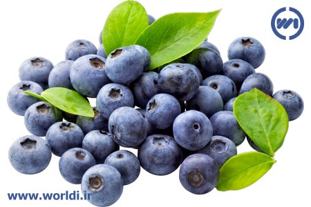 زغال‌اخته آبی