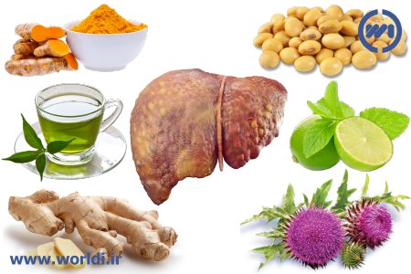 درمان گیاهی کبد چرب