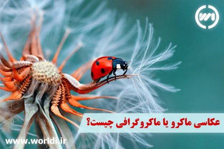 عکاسی نمای نزدیک