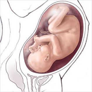 هفته 40 ام حاملگی